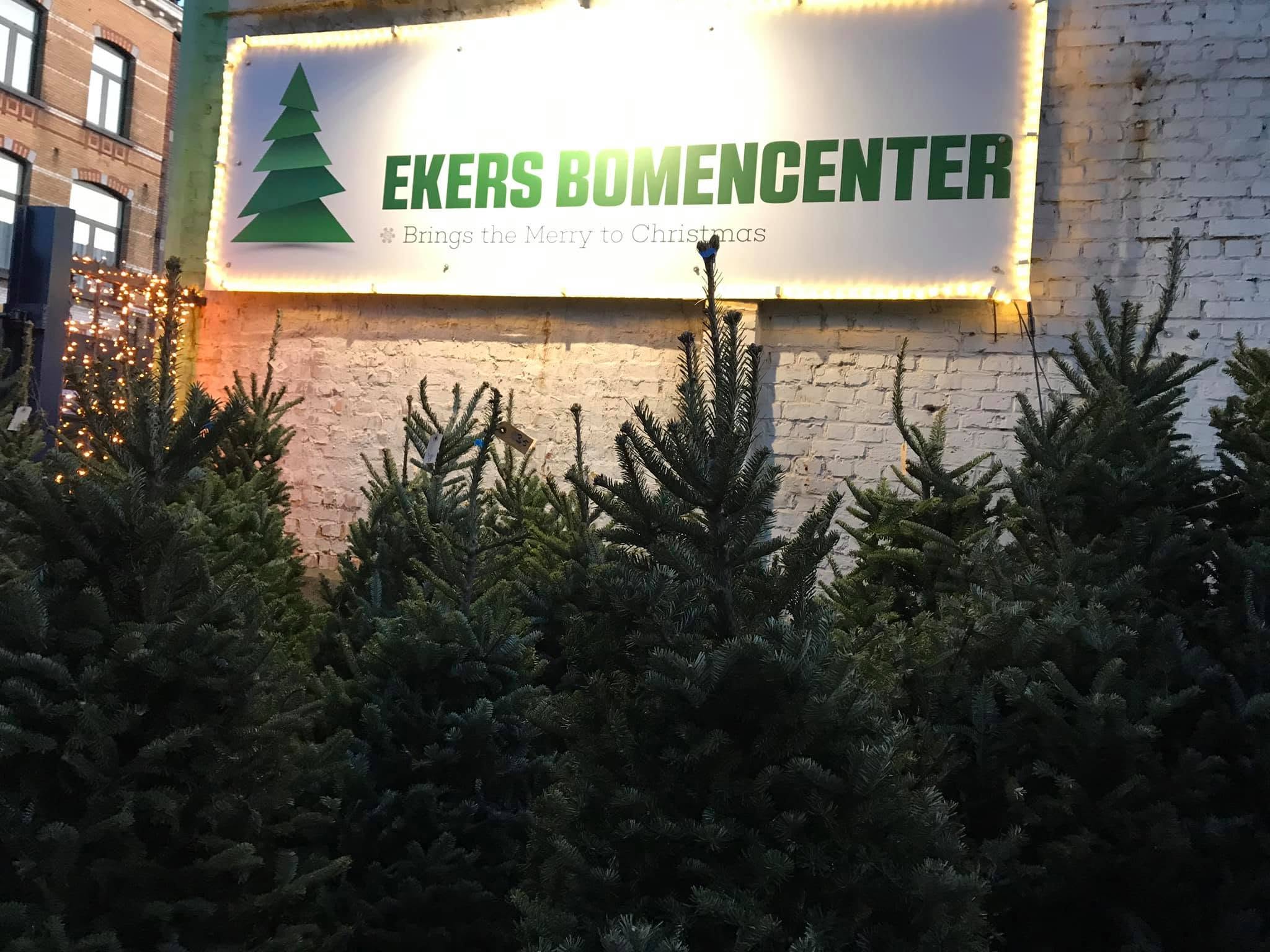 Ekers Bomencenter kerstbomenmarkt